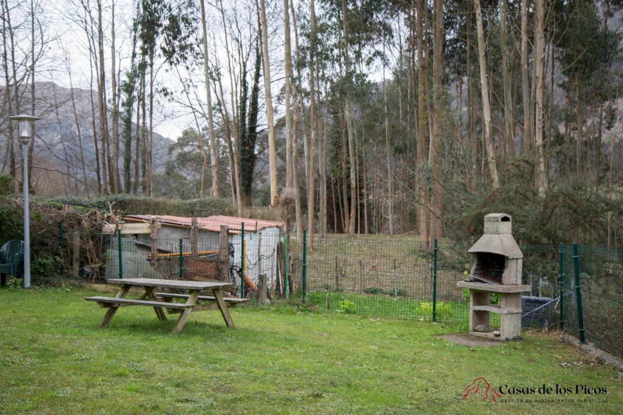 Apartamento El Soplao - Casas De Los Picos Celis Extérieur photo